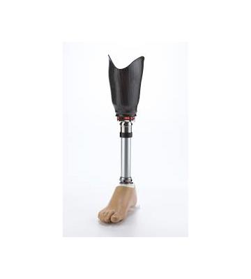 Below Knee Prosthesis